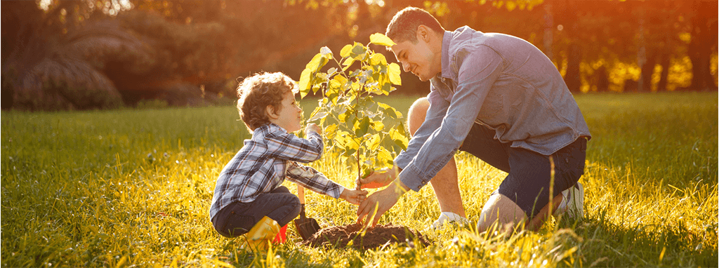 Father and son planting a tree